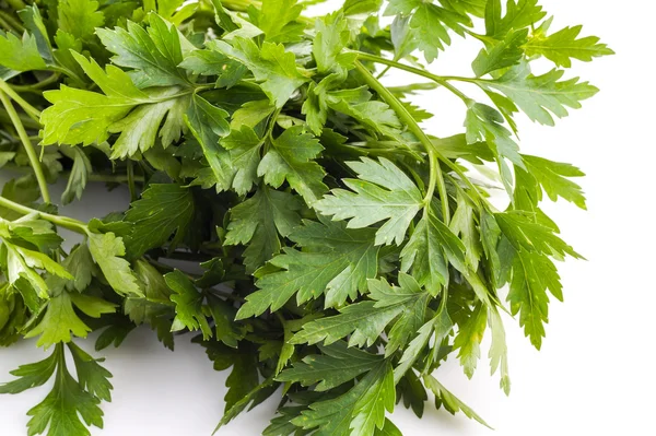 Parsley — Stock Photo, Image