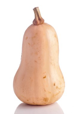 Balkabagi