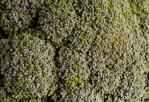 Broccoli cabbage — Stock Photo, Image