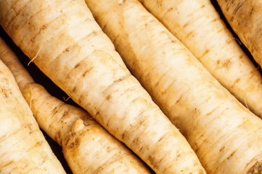 Maydanoz kökü yığını