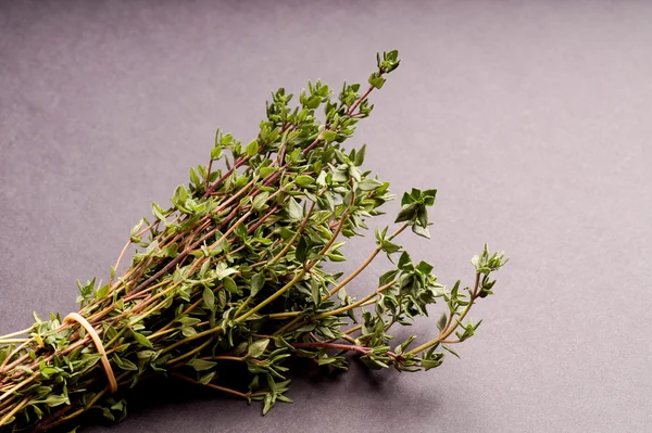 Bunch of Thyme — Stock Photo, Image