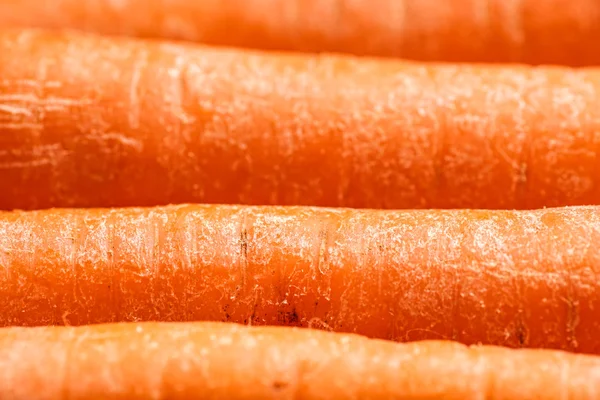 Fresh organic Carrots — Stock Photo, Image