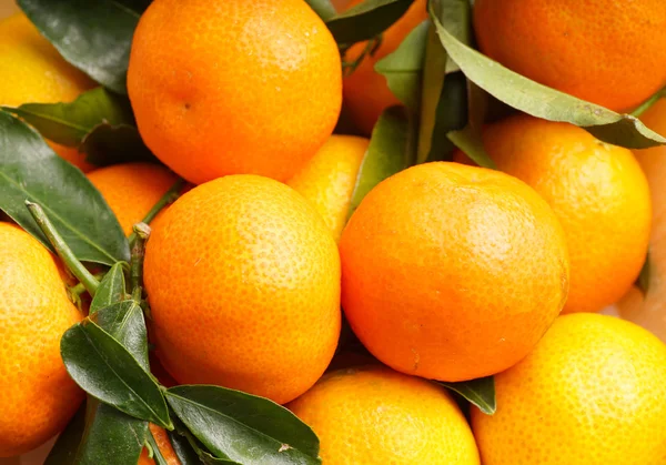 Fresh organic Clementines — Stock Photo, Image