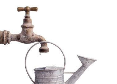 Damlama Sulama olabilir