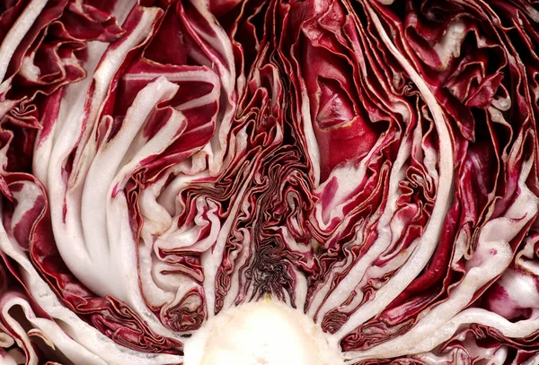 Lechuga Radicchio orgánica fresca —  Fotos de Stock