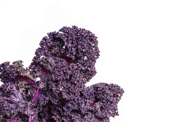 Red Kale Leaves — Stock Image Red Kale Leaves Stock Picture