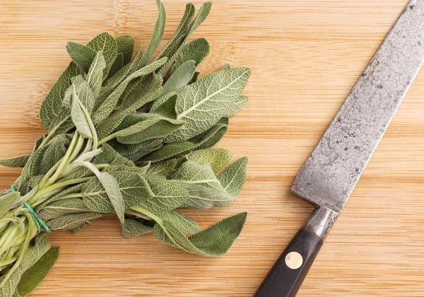 Fresh Sage Bundle — Stock Photo, Image