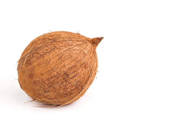 Celý kokos, izolované — Stock fotografie