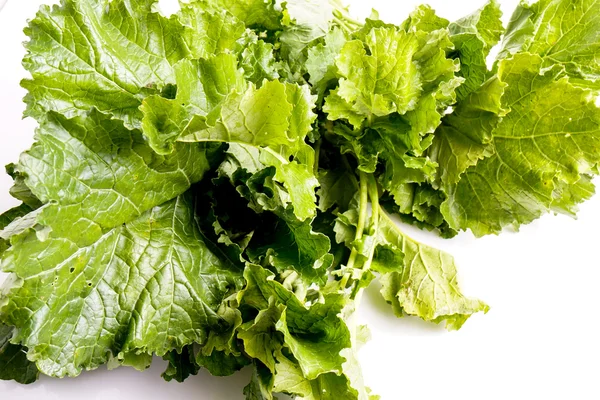 Cime De Rapa, Turnip Green — Foto Stock