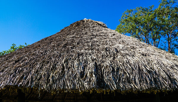 Roof made of dry palm leaves, front Side and blue sky
