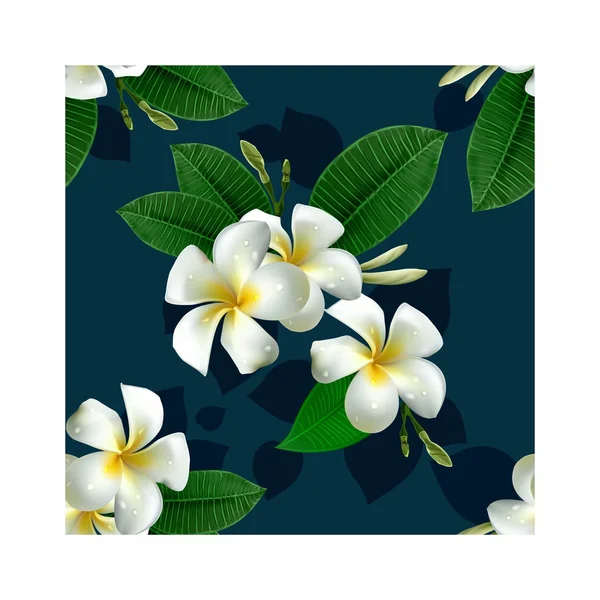 Motif floral sans couture. Plumeria fleur — Image vectorielle