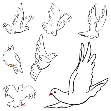 Güvercinler çizimi