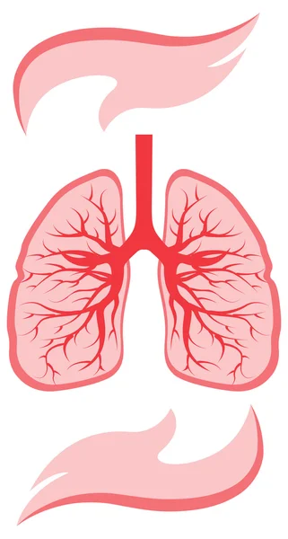 Ícones de pulmões e mãos . — Vetor de Stock