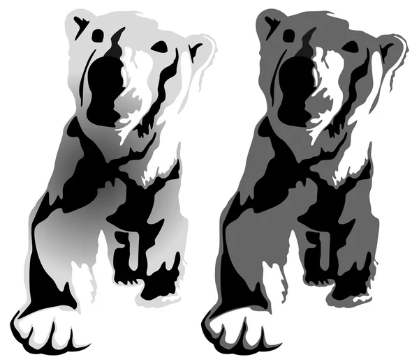 Desenho de mão de urso Ilustração De Stock