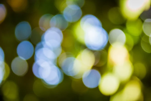 Doğal yeşil bulanık ve bokeh arka plan, arka.