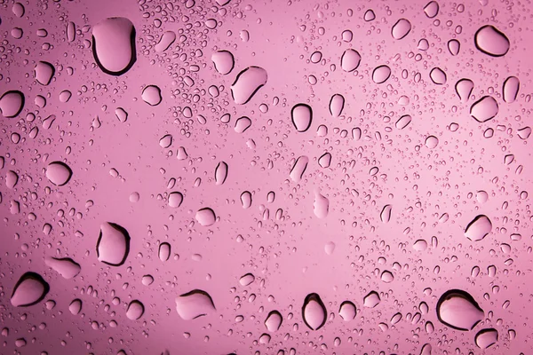 Gota de água no fundo rosa . — Fotografia de Stock