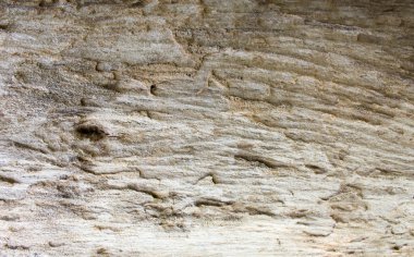 Doğal ahşap yüzey, arka planlar ve dokular için ideal