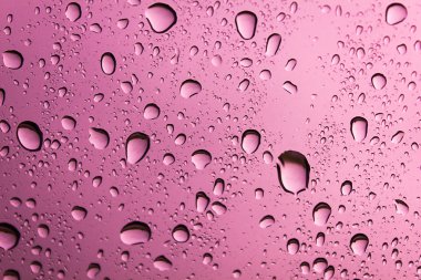 Pembe bir arka plan üzerinde su damlası.