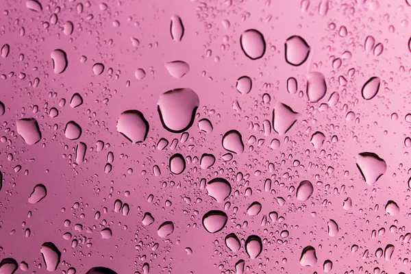 Pembe bir arka plan üzerinde su damlası.