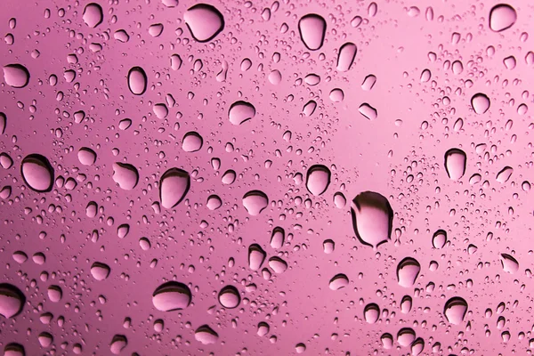 Pembe bir arka plan üzerinde su damlası.