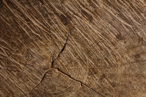 Bir ağaç gövdesi, arka plan doku Ahşap dokusu.