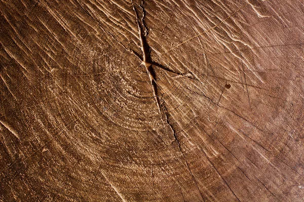 Bir ağaç gövdesi, arka plan doku Ahşap dokusu.