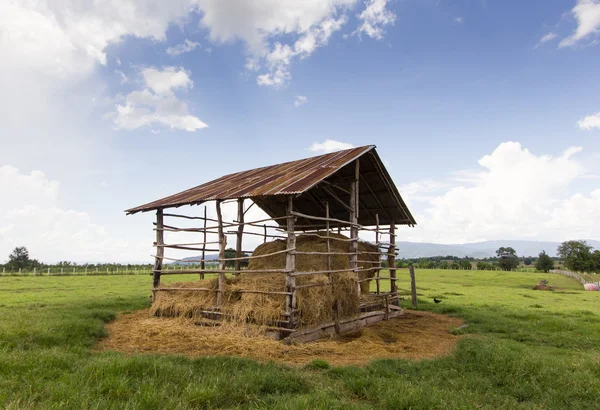 Saman saman çiftlik evi çayır