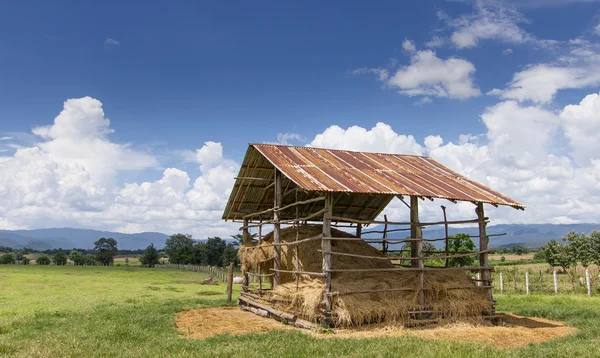 Saman saman çiftlik evi çayır