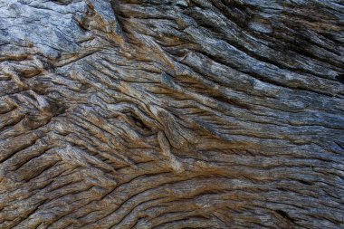 Doğal ahşap yüzey, arka planlar ve dokular için ideal