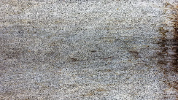 Ahşap doku arka plan, arka planlar ve dokular için ideal