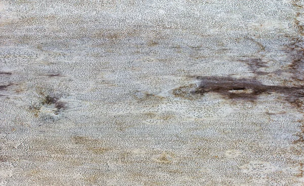 Ahşap doku arka plan, arka planlar ve dokular için ideal