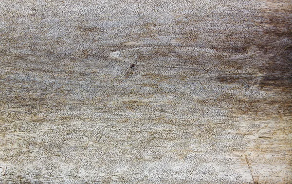 Ahşap doku arka plan, arka planlar ve dokular için ideal