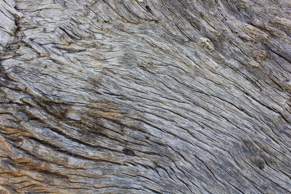 Bir ağaç gövdesi, arka plan doku Ahşap dokusu.