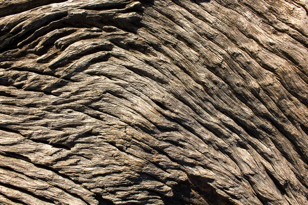 Superficie de madera natural, ideal para fondos y texturas — Foto de Stock