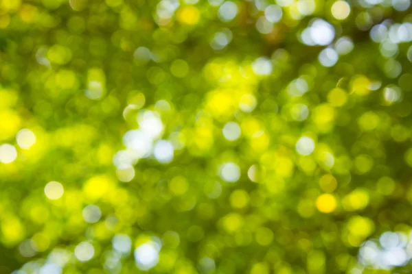 Doğal yeşil bulanık ve bokeh arka plan, arka.