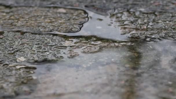 Pluie sur la chaussée — Video