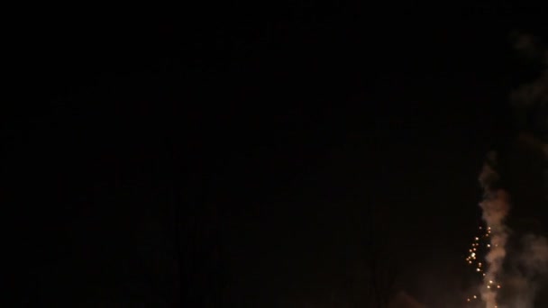 Feux d'artifice comme des comètes dans le ciel 