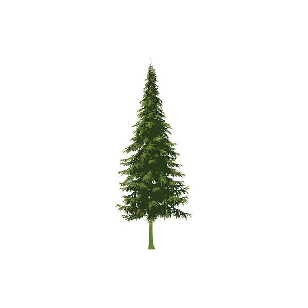 Pine Tree Design Illustration — Stock Vector