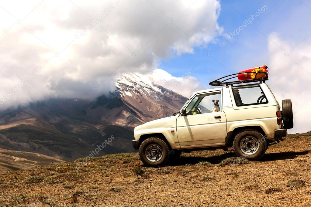 Jack Russell Terrier Dog On A Journey Full Of Adventure