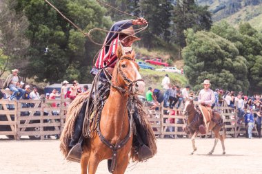 genç latin kovboy bir binicilik