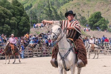 Güney Amerika'da kamu gösteri