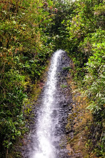 Tropiskt vattenfall i Amazonas djungel — Stockfoto