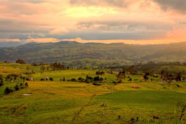 Bir and köyünün havadan görünümü 