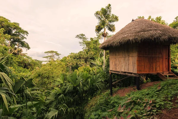 Bambu Lodge i nationalparken Yasuni — Stockfoto