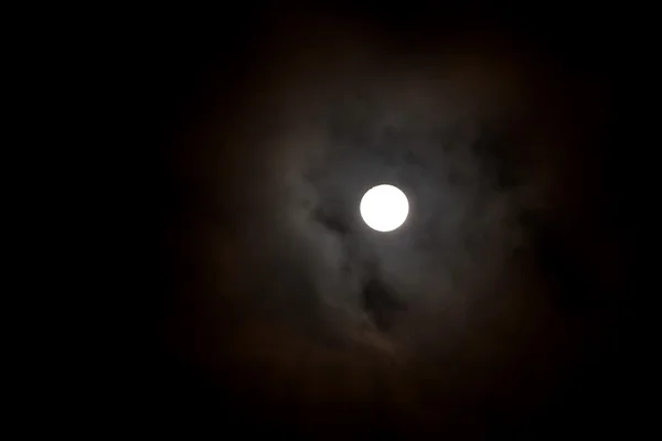 満月月光 — ストック写真
