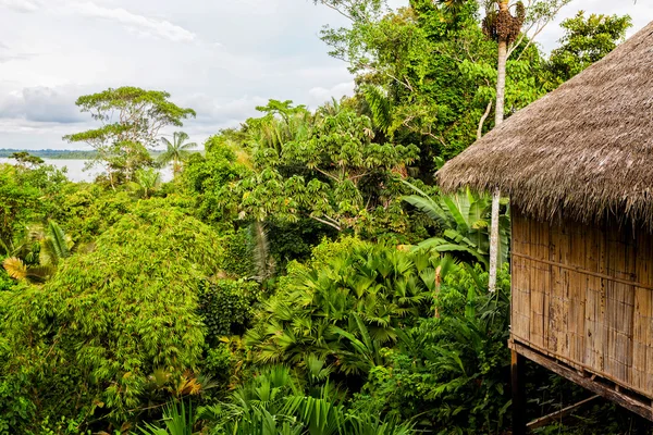 Eco Loge, National Park Yasuni — Stock Photo, Image