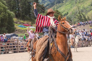 Yerli kovboy binicilik at