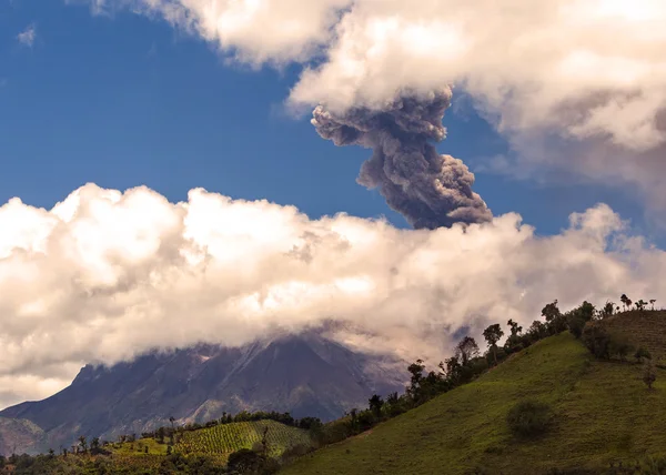 Tungurahua explodiert tagsüber — Stockfoto