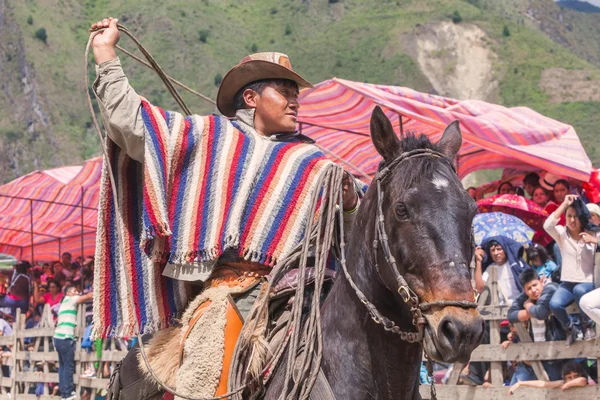 En etkileyici ve uygun fiyatlı at binmek