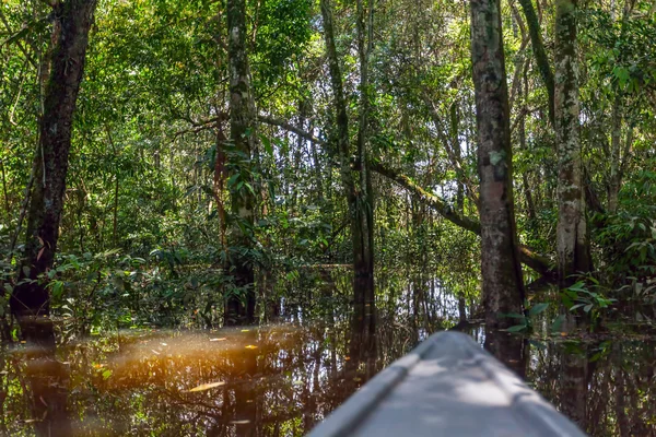 Canoe Ride In The Cuyabeno River — Stock Photo, Image